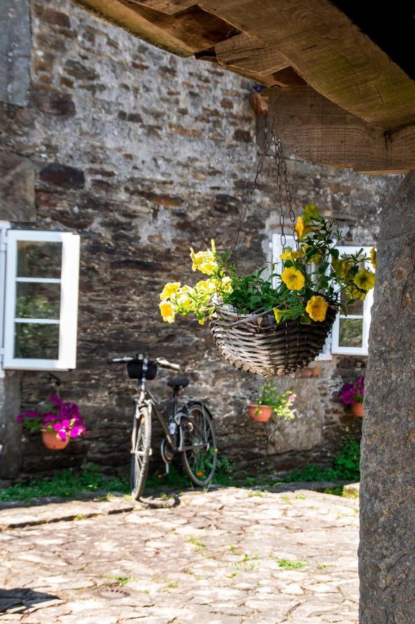 Ferienwohnung O Pazo Da Briona Arzúa Exterior foto